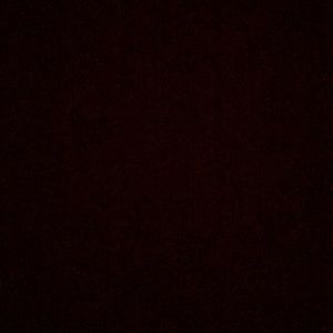 Meet your Posher, Arnela